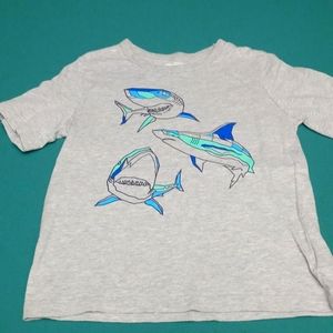 Osh kosh boys gray 5t shark shirt